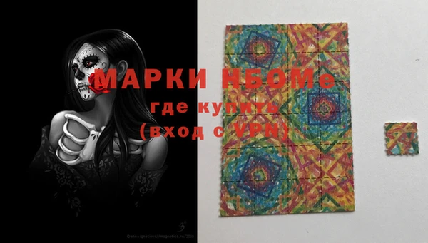 прущие грибы Абинск