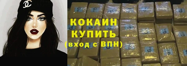 прущие грибы Абинск