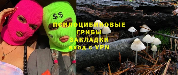 прущие грибы Абинск