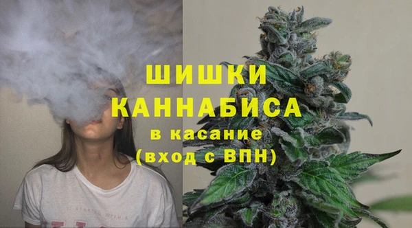 бошки Алексин
