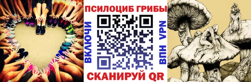 наркота  Мостовской  KRAKEN ссылки  Псилоцибиновые грибы прущие грибы 